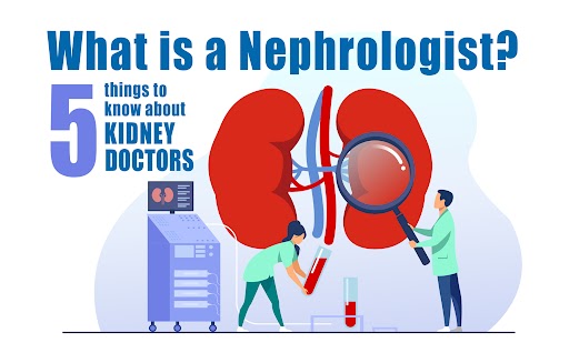 The term nephrologist comes from the Greek word “nephros,” which means "kidney" or "renal," and “ologist,” which refers to someone who studies.