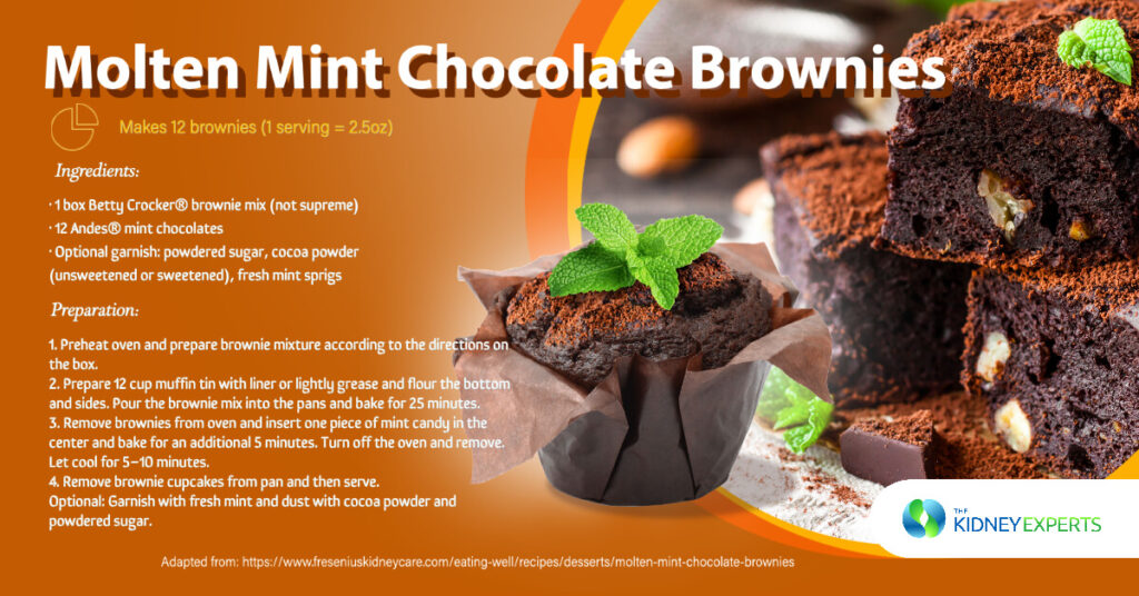 the kidney experts chocolate mint brownies